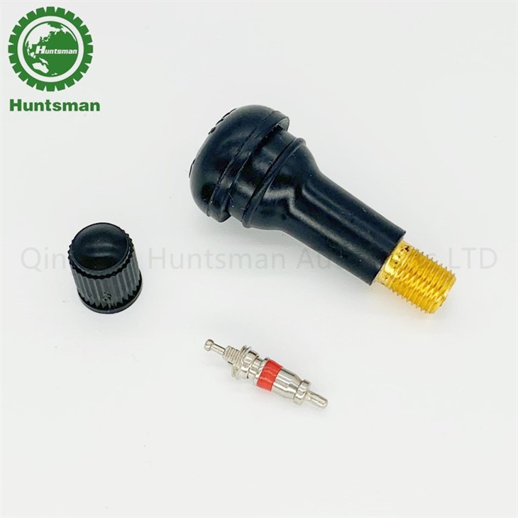 Tr413 Tire Valve